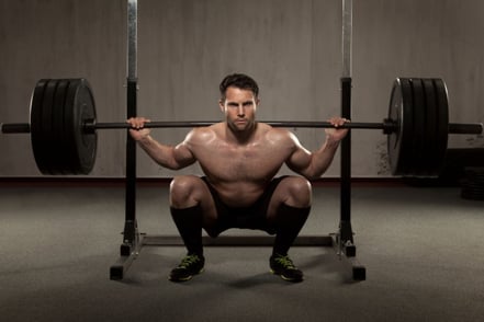 Optimal Performance: Strength and Mobility in Physical Therapy