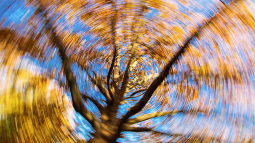 What is Vertigo? And What Does a Physical Therapist Have to Do With It?