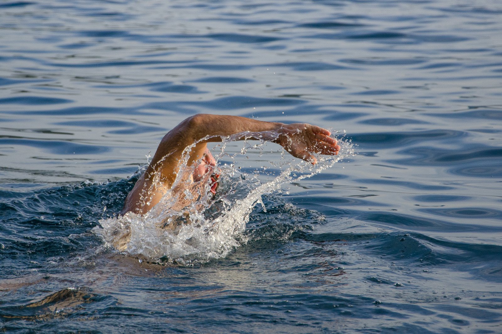 freestyle swimmer